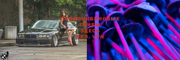 прущие грибы Лихославль