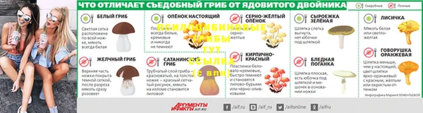 Альфа ПВП Лиски