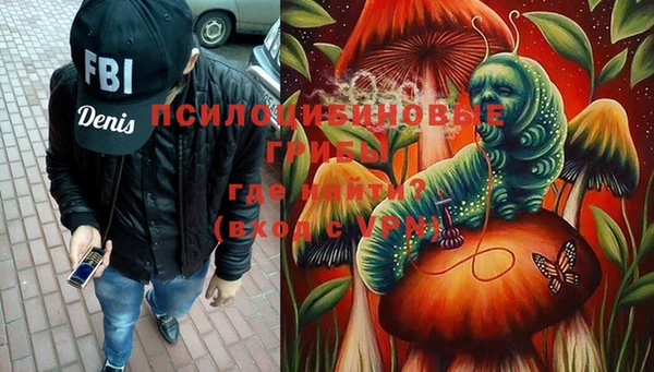 кокс Магас