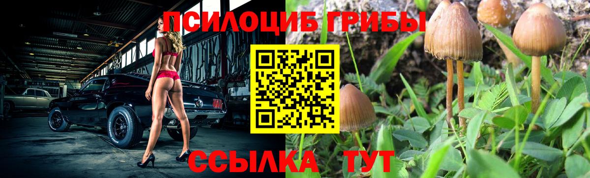 Галлюциногенные грибы MAGIC MUSHROOMS Астрахань